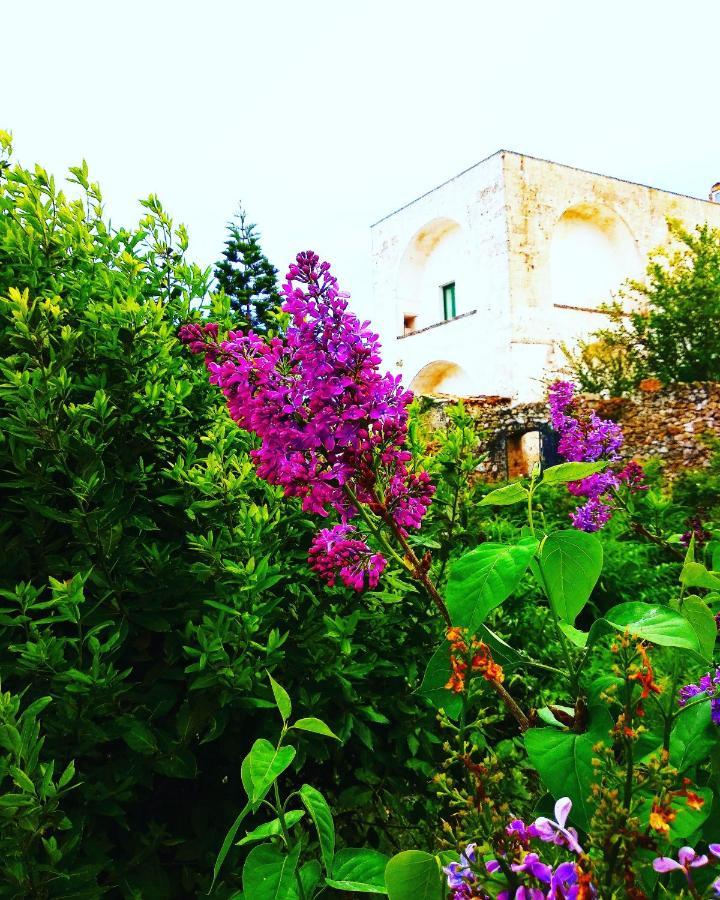Masseria Delle Rose 1760 Alessano Eksteriør bilde